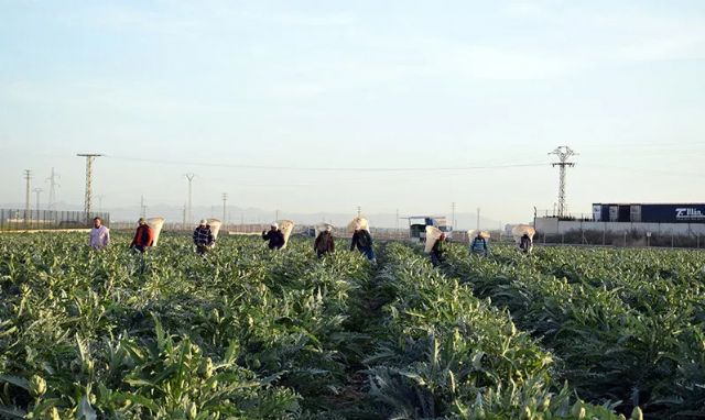 El Partido y la Juventud Comunista de la Región de Murcia denuncian la insostenible situación de los trabajadores del campo - 1, Foto 1