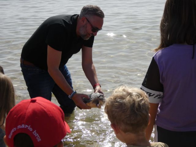 La liberación de una tortuga boba pone término a una jornada de convivencia y evaluación de los voluntarios de Territorio Tortuga - 1, Foto 1