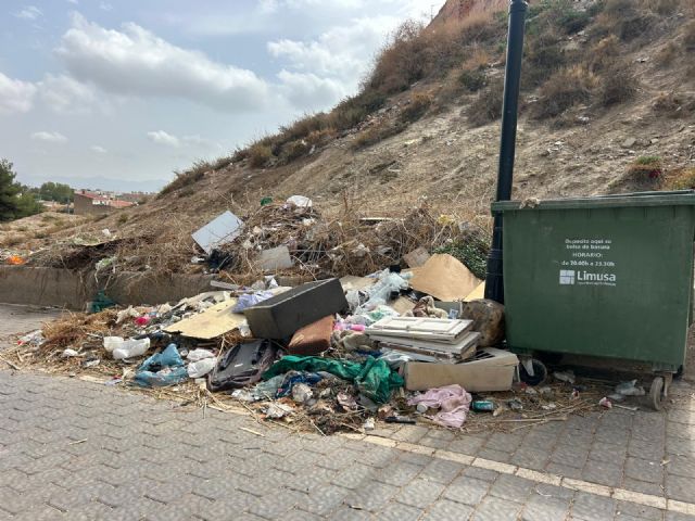 El PSOE exige a Fulgencio Gil una intervención urgente de limpieza y mantenimiento en el entorno del CEIP Juan González y Cañada de Morales - 3, Foto 3