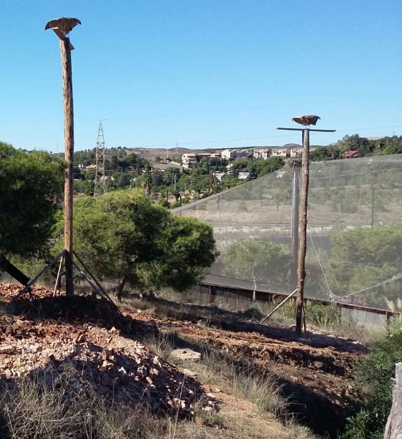 Terra Natura Murcia instala tres nidos que facilitarán el paso y la estancia de cigüeñas - 1, Foto 1