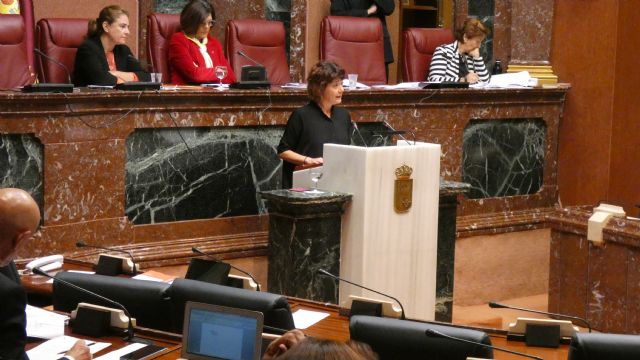 Podemos pide garantizar la participación en la ley regional de vivienda - 1, Foto 1