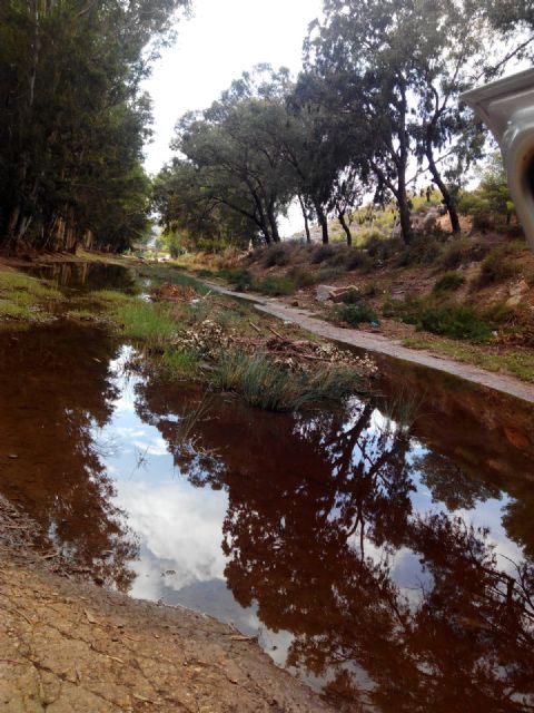 Cs critica a la CHS por actuar en las ramblas dos meses después de la gota fría y que siga ignorando a la Algameca - 3, Foto 3