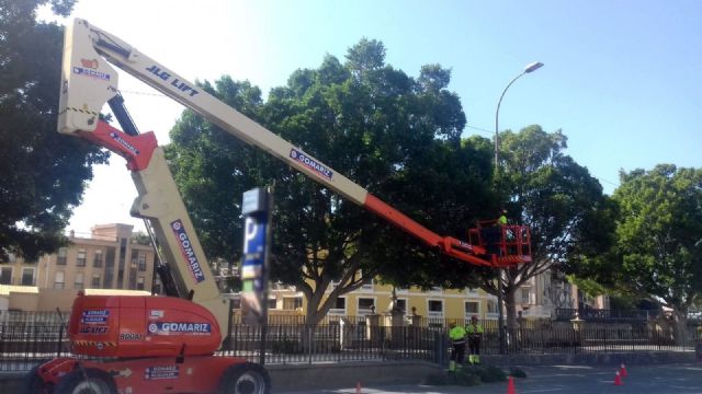 Los ficus de La Glorieta han sido podados para mejorar su estética y garantizar la seguridad de los vecinos - 2, Foto 2