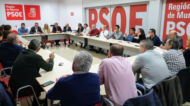 Los alcaldes y alcaldesas socialistas vuelven a exigir al Gobierno regional que ponga en marcha una ley de financiación local - 2, Foto 2