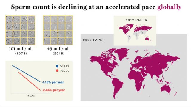La concentración de esperma de los varones se ha reducido a la mitad en solo 50 años, así lo afirma un estudio en el que participa la UMU - 3, Foto 3