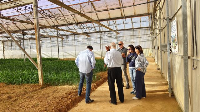 Nuevas tecnologías de oxigenación mejoran la salud de los suelos agrícolas y buscan prevenir enfermedades de los cultivos - 1, Foto 1