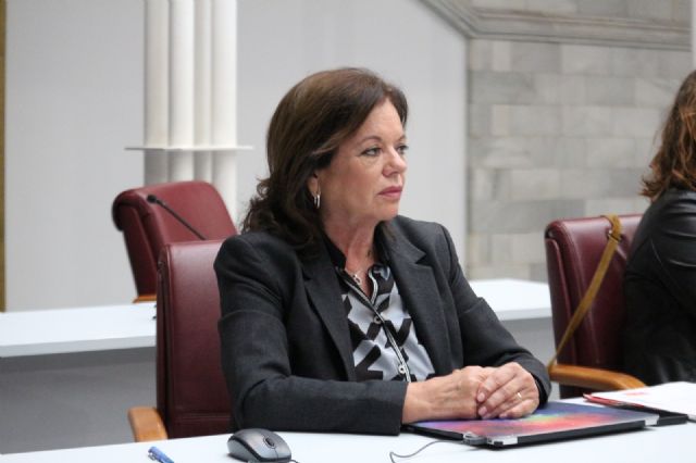 El Grupo Parlamentario Socialista realiza tres preguntas al Consejo de Gobierno en el pleno de control de la Asamblea - 2, Foto 2