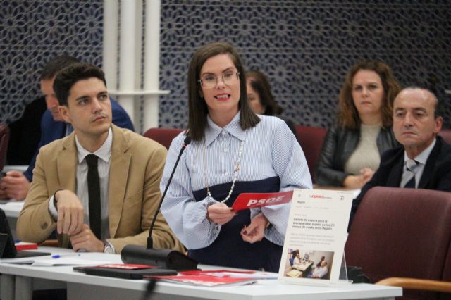 El Grupo Parlamentario Socialista realiza tres preguntas al Consejo de Gobierno en el pleno de control de la Asamblea - 3, Foto 3