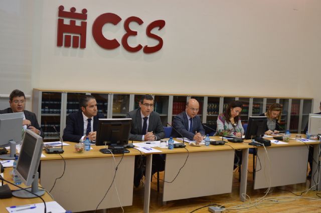 El CES aprueba el Plan de Residuos de la Región de Murcia 2016-2020 - 2, Foto 2