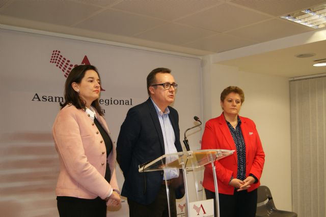 El PSOE afirma que los presupuestos de Educación para 2017 son los de la desconfianza, un retroceso porque repiten los de 2016 con más recortes - 2, Foto 2