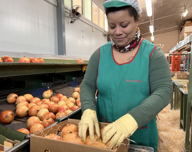 Parten hacia su destino las 250 cajas gratuitas de granadas de Elche para las personas de la Comunidad Valenciana que viven fuera - 1, Foto 1