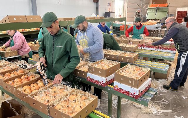 Parten hacia su destino las 250 cajas gratuitas de granadas de Elche para las personas de la Comunidad Valenciana que viven fuera - 5, Foto 5