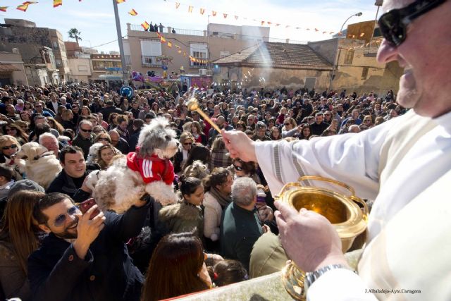 San Anton celebra su tradicional bendicion de animales - 1, Foto 1