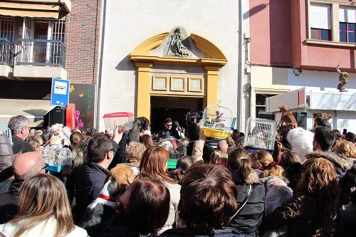 Bendiciones de animales por toda la Diócesis para celebrar San Antón - 1, Foto 1