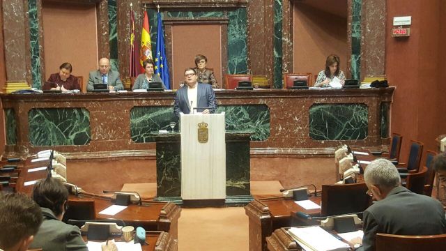 Ciudadanos permite al gobierno del PP continuar con el “desgobierno urbanístico” en la prevención de riadas - 2, Foto 2