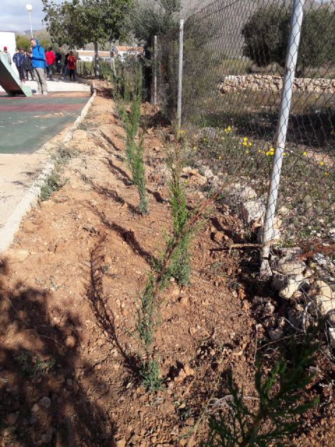 Hidrogea y la Asociación de Vecinos de Campillo de Adentro contribuyen a frenar el cambio climático plantando 300 árboles - 3, Foto 3