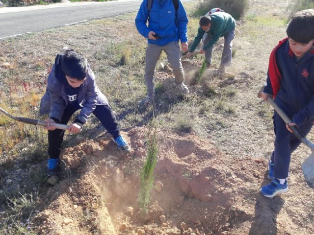 Hidrogea y la Asociación de Vecinos de Campillo de Adentro contribuyen a frenar el cambio climático plantando 300 árboles - 5, Foto 5