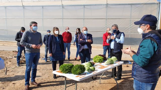 La Comunidad investiga nuevas variedades hortícolas para hacer frente al cambio climático y atender las nuevas demandas de los consumidores - 1, Foto 1