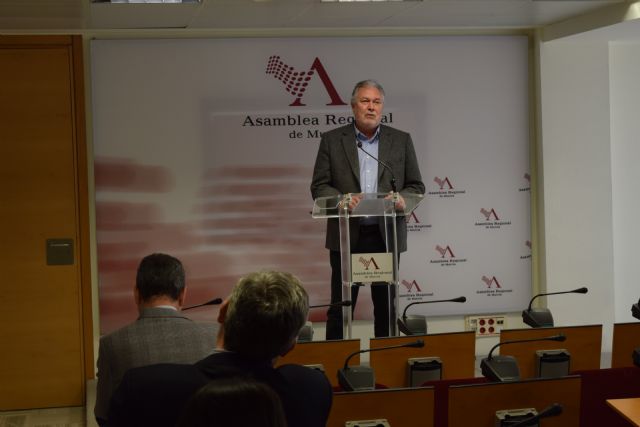 La Asamblea pide al Gobierno regional nuevos avances en la simplificación administrativa - 2, Foto 2