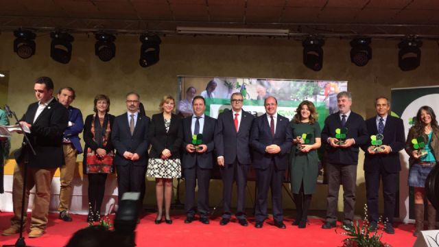 Entregan el premio Laurel al Colegio de Arquitectos por su apoyo a las personas con discapacidad - 2, Foto 2