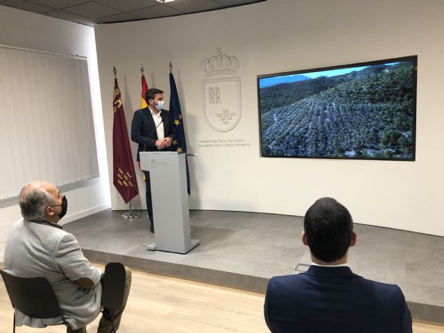 La Región celebra el Día Internacional de los Bosques con una plantación de árboles y actividades en los parques regionales - 1, Foto 1