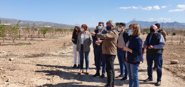 La Comunidad convoca ayudas para jóvenes agricultores por importe de 9,2 millones de euros - 1, Foto 1