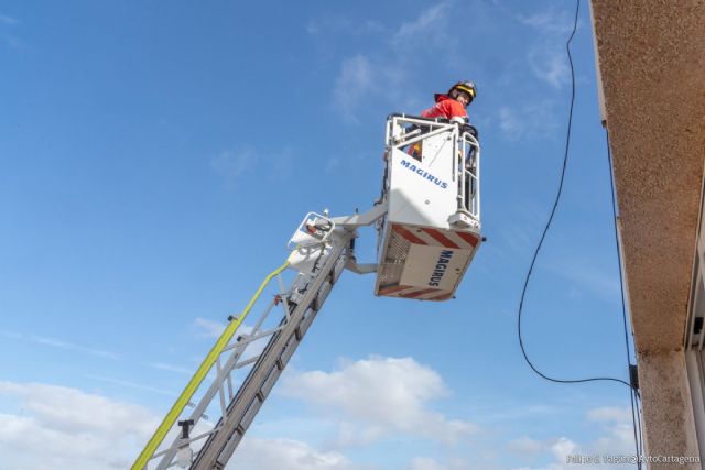 Los Bomberos continuaron la jornada del martes atendiendo caídas de árboles, cascotes y carteles por el viento - 1, Foto 1