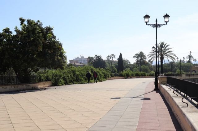 Huermur denuncia en el Ministerio de Cultura la aprobación de una urbanización en el entorno BIC del Paseo del Malecón - 3, Foto 3