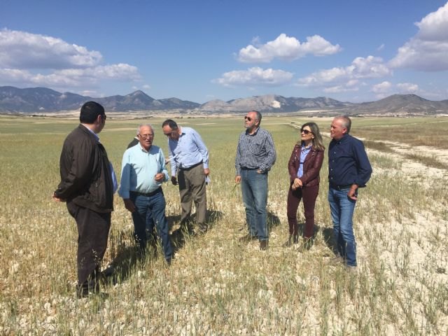 Los agricultores de zonas con limitaciones específicas y de montaña contarán con 13,5 millones de euros en ayudas - 1, Foto 1