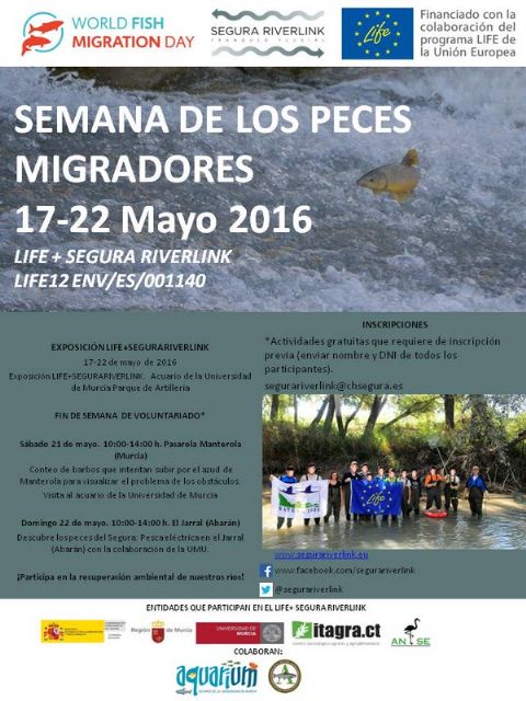 La CHS celebra la Semana de los Peces Migradores con actividades de voluntariado y una exposición - 2, Foto 2