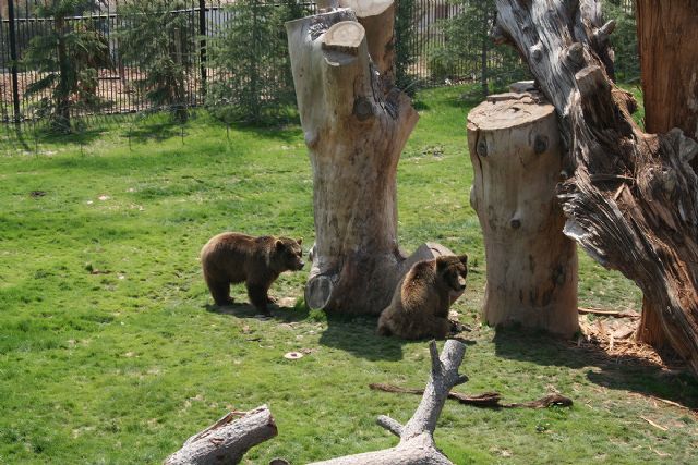 Terra Natura Murcia cumple 10 años - 1, Foto 1