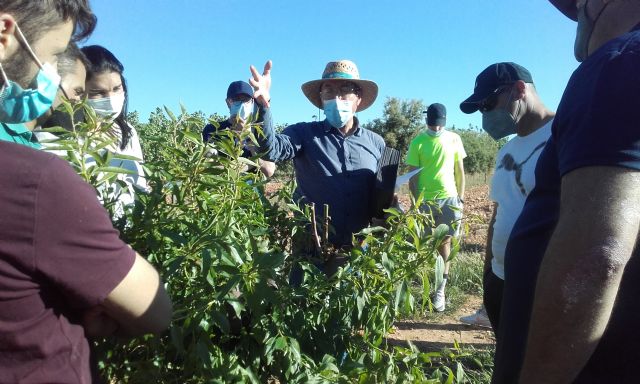 15 jóvenes agricultores se forman en el Noroeste para crear empresas agrarias - 1, Foto 1