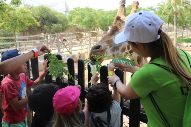 La Escuela de Verano de Terra Natura Murcia viajará este año en el tiempo con sus alumnos - 1, Foto 1