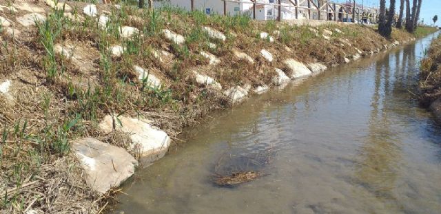 El vecindario de El Mojón se moviliza en contra el proyecto del colector de vertidos cero y de las inundaciones - 4, Foto 4