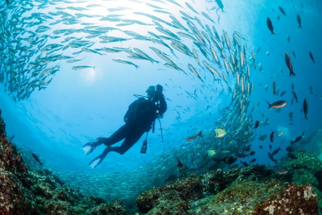 La megadiversidad de Ecuador se pone de relieve con el descubrimiento de un desconocido arrecife de coral y la publicación de un nuevo libro sobre Galápagos - 1, Foto 1