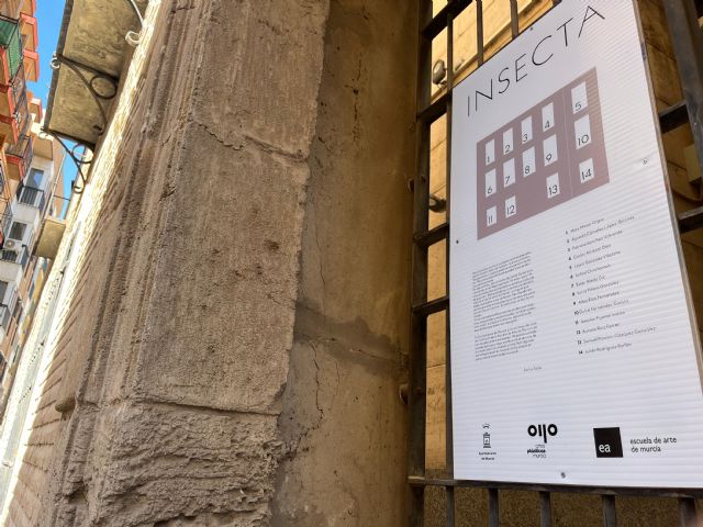 Las 14 ventanas del Palacio de Santa Quiteria lucen la nueva exposición ´Insecta´ - 3, Foto 3