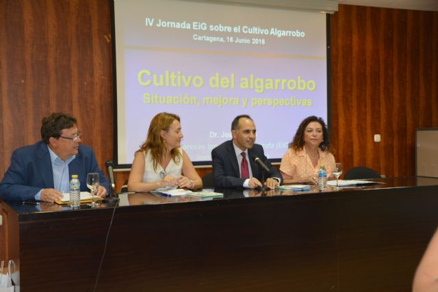 UPCT y Ayuntamiento buscan recuperar el cultivo de algarrobo en la Región para combatir el cambio climático - 2, Foto 2