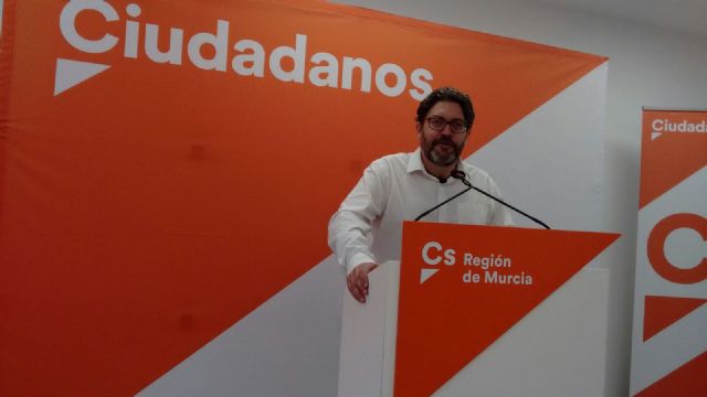 Ciudadanos aporta un novedoso estudio sobre las causas de la turbidez al Comité Científico del Mar Menor - 1, Foto 1