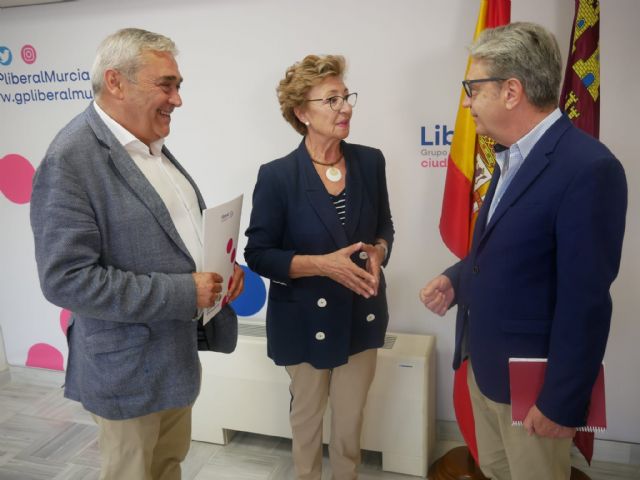 El grupo parlamentario liberal registra junto al PP la proposición de Ley Integral de Apoyo a las Familias de la Región - 3, Foto 3