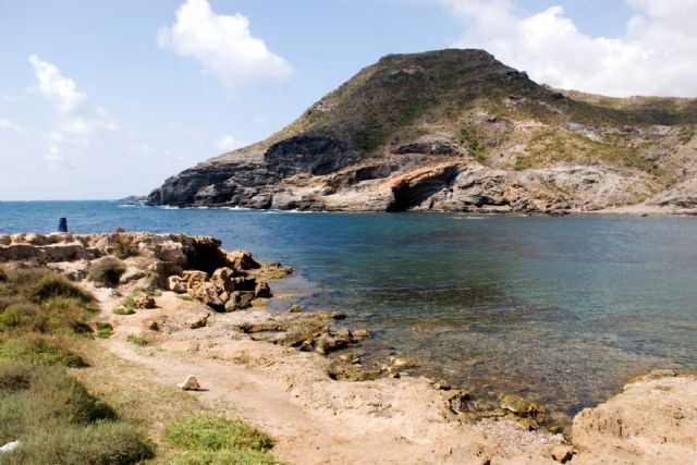 Se abre al baño Cala Reona, tras recuperar los niveles de calidad de agua - 1, Foto 1