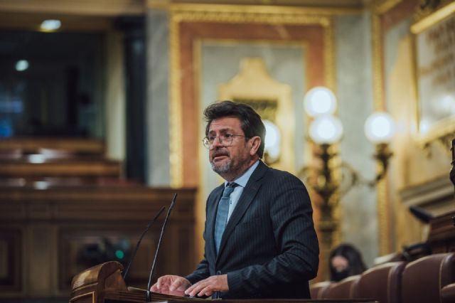 Lourdes Méndez repite como cabeza de lista de VOX en Murcia para el 23J - 2, Foto 2