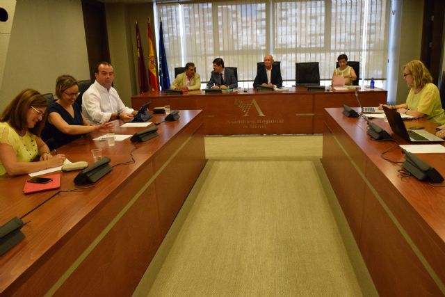 La Asamblea propone, a iniciativa del PP, campañas de concienciación y autoprotección frente al melanoma - 1, Foto 1