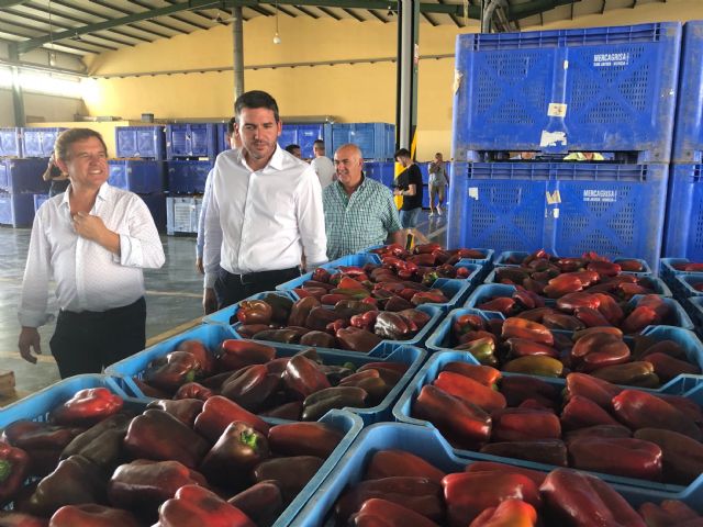 Antonio Luengo visita las instalaciones del mercado agrícola de San Javier - 1, Foto 1