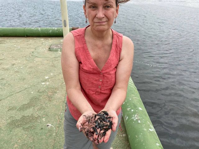 Podemos pide la dimisión de Luengo ante el nuevo episodio de mortandad masiva de peces en el Mar Menor - 2, Foto 2