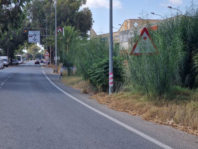 Sí Cartagena denuncia problemas de seguridad vial por la maleza existente en la carretera que une Santa Ana y el polígono - 1, Foto 1