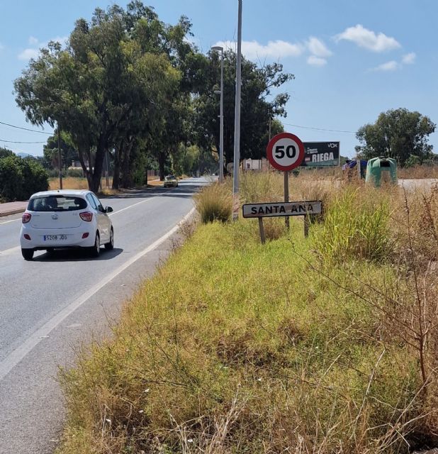 Sí Cartagena denuncia problemas de seguridad vial por la maleza existente en la carretera que une Santa Ana y el polígono - 2, Foto 2