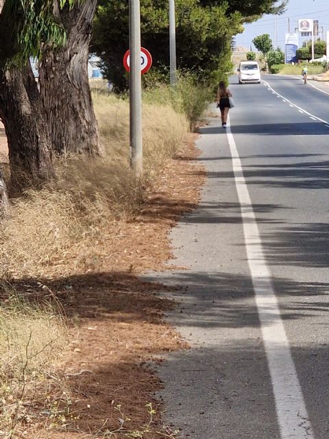 Sí Cartagena denuncia problemas de seguridad vial por la maleza existente en la carretera que une Santa Ana y el polígono - 3, Foto 3