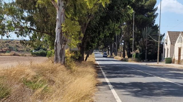 Sí Cartagena denuncia problemas de seguridad vial por la maleza existente en la carretera que une Santa Ana y el polígono - 5, Foto 5