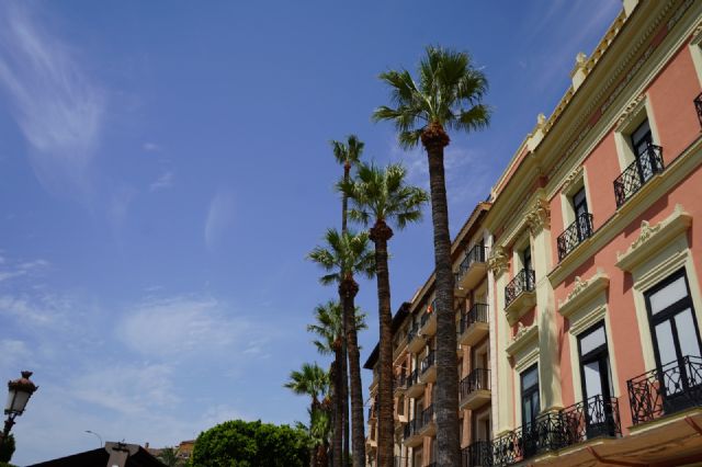 El Ayuntamiento de Murcia inicia la campaña anual de revisión y poda de las más de 18.000 palmeras del municipio El Ayuntamiento de Murcia inicia la campaña anual de revisión y poda de las más de 18.000 palmeras del municipio