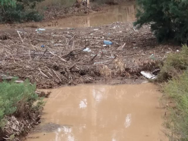 Cs denuncia que Ayuntamiento y CHS han abandonado a su suerte a los vecinos de la Algameca Chica en plena gota fría - 1, Foto 1